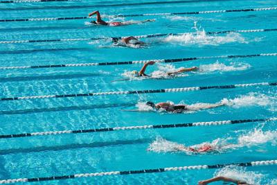 Swimmers in pool lanes