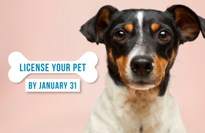 License Your Pets by January 31